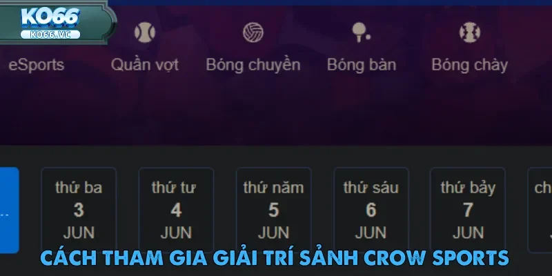 Crow Sports – Thiên Đường Giải Trí Hàng Đầu Châu Á 5 Trải nghiệm cá cược thể thao tại sảnh Crow Sports sau khi đăng ký tài khoản
