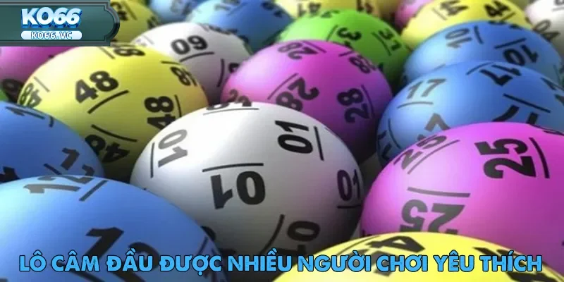 Lô Câm Là Gì? Những Điều Cần Biết Tại Nhà Cái Ko66 2 lo-cam-la-gi