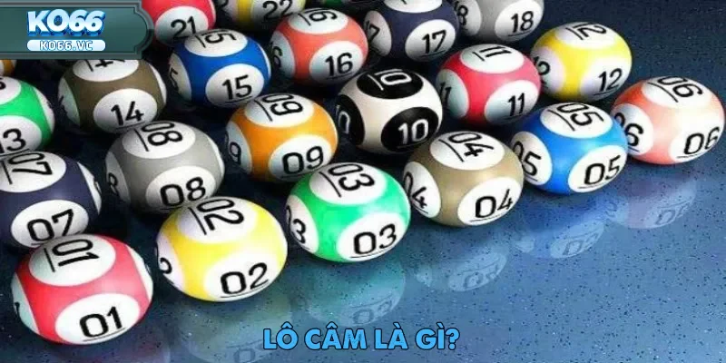 Lô Câm Là Gì? Những Điều Cần Biết Tại Nhà Cái Ko66 1 lo-cam-la-gi