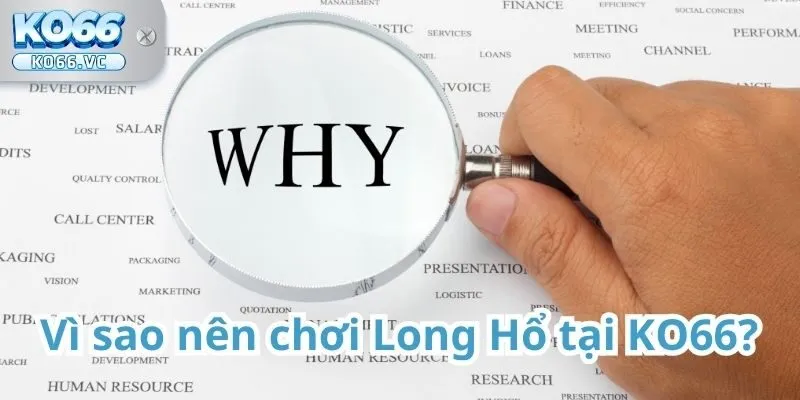 Giới thiệu về Long Hổ tại KO66 3 Long Hổ