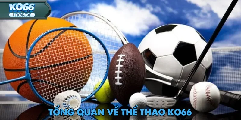 Thể thao Ko66 luôn nổi bật là một trong những cái tên đáng tin cậy hàng đầu